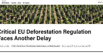 供应链透明度革命来临:欧盟零毁林法案下的企业生存指南